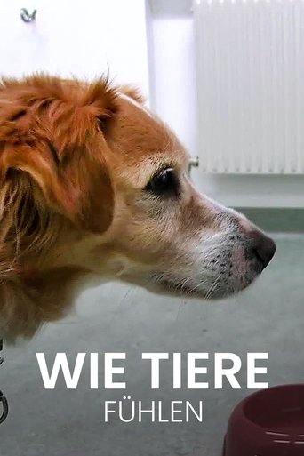 Wie Tiere fühlen Poster of Wie Tiere fühlen