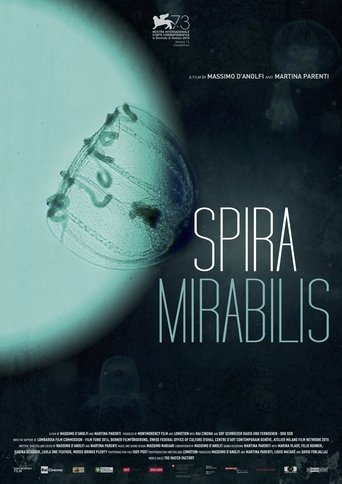 Miraculous Spiral Poster of Miraculous Spiral