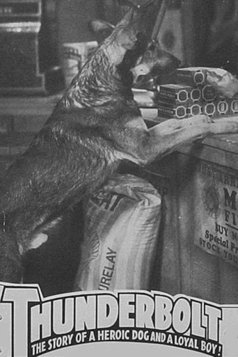 Thunderbolt Poster of Thunderbolt
