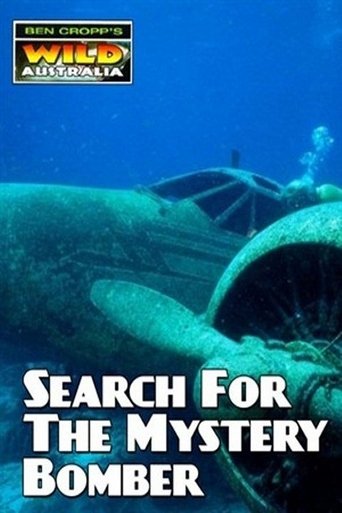 Search for the Mystery Bomber Poster of Search for the Mystery Bomber