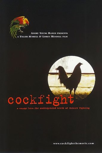 Cockfight Poster of Cockfight