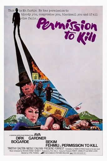 Permission to Kill Poster of Permission to Kill