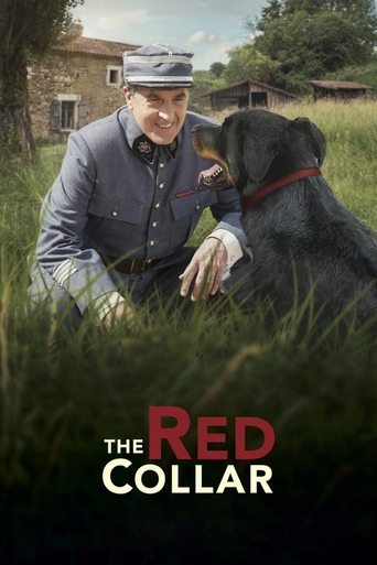 The Red Collar Poster of The Red Collar