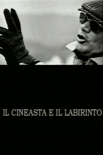 The Filmmaker and the Labyrinth Poster of The Filmmaker and the Labyrinth