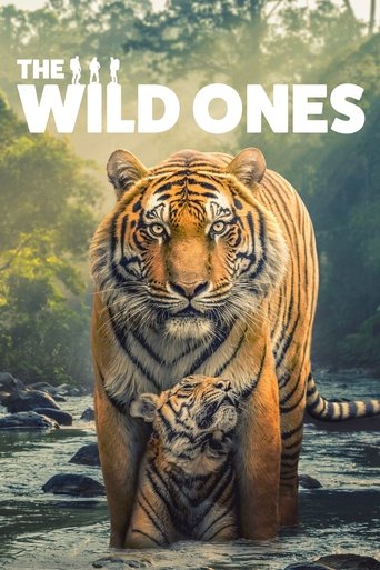 The Wild Ones Poster of The Wild Ones