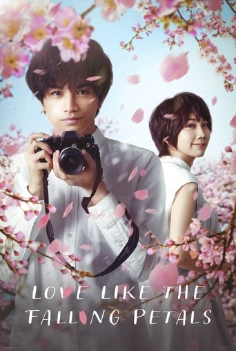 Love Like the Falling Petals Poster of Love Like the Falling Petals