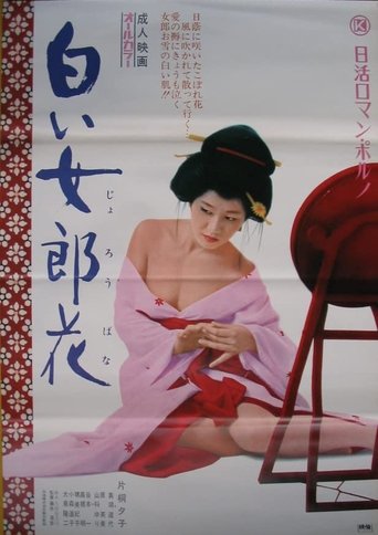 Shiroi ominaeshi Poster of Shiroi ominaeshi