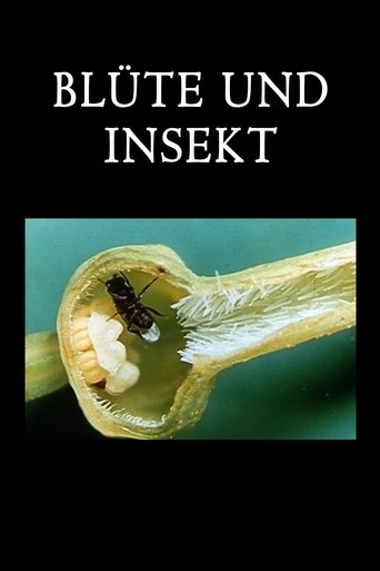 Blossom and Insect Poster of Blossom and Insect