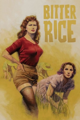 Bitter Rice Poster of Bitter Rice