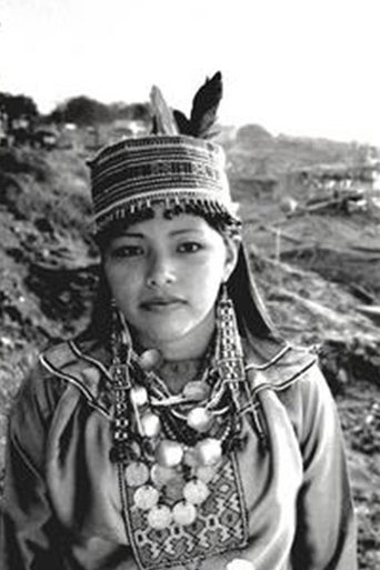 The Story of Panshin Beka Poster of The Story of Panshin Beka