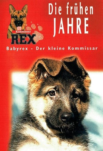 Baby Rex Poster of Baby Rex