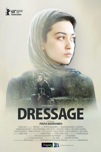 Dressage Poster of Dressage