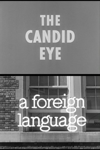 A Foreign Language Poster of A Foreign Language