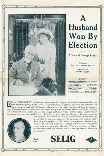 A Husband Won by Election Poster of A Husband Won by Election