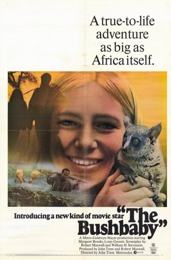 The Bushbaby Poster of The Bushbaby