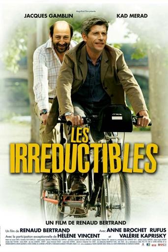 Les Irréductibles Poster of Les Irréductibles