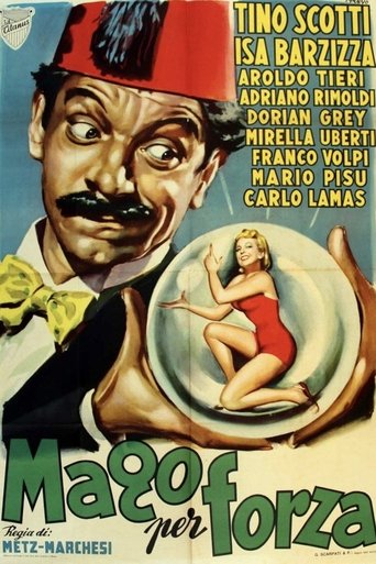 Il mago per forza Poster of Il mago per forza