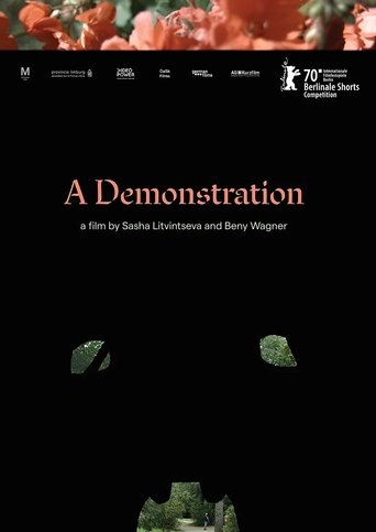 A Demonstration Poster of A Demonstration
