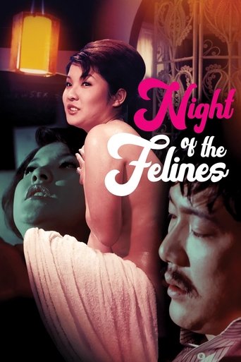 Night of the Felines Poster of Night of the Felines
