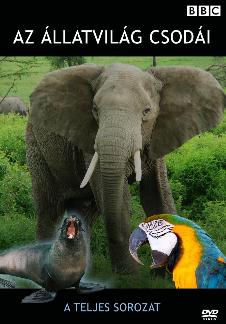 Extraordinary Animals Poster of Extraordinary Animals