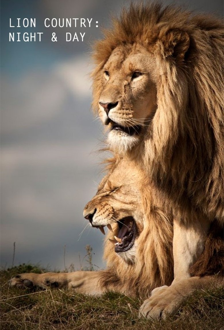 Lion Country: Night and Day Poster of Lion Country: Night and Day