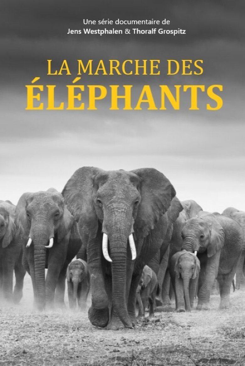 Elefanten hautnah Poster of Elefanten hautnah