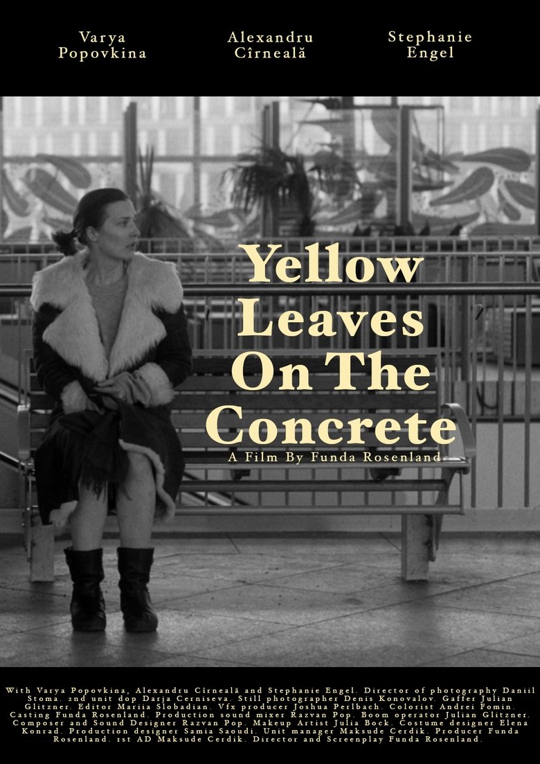 Yellow leaves on the concrete Poster of Yellow leaves on the concrete