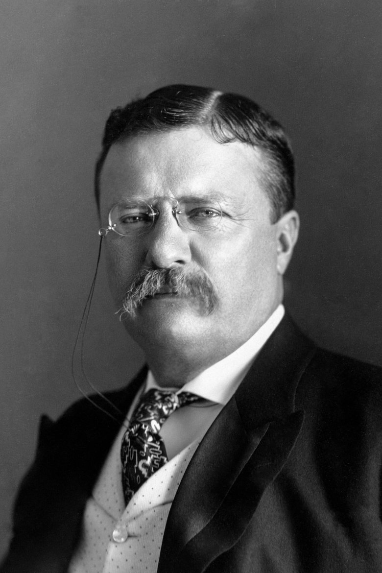 Theodore Roosevelt Portrait of Theodore Roosevelt