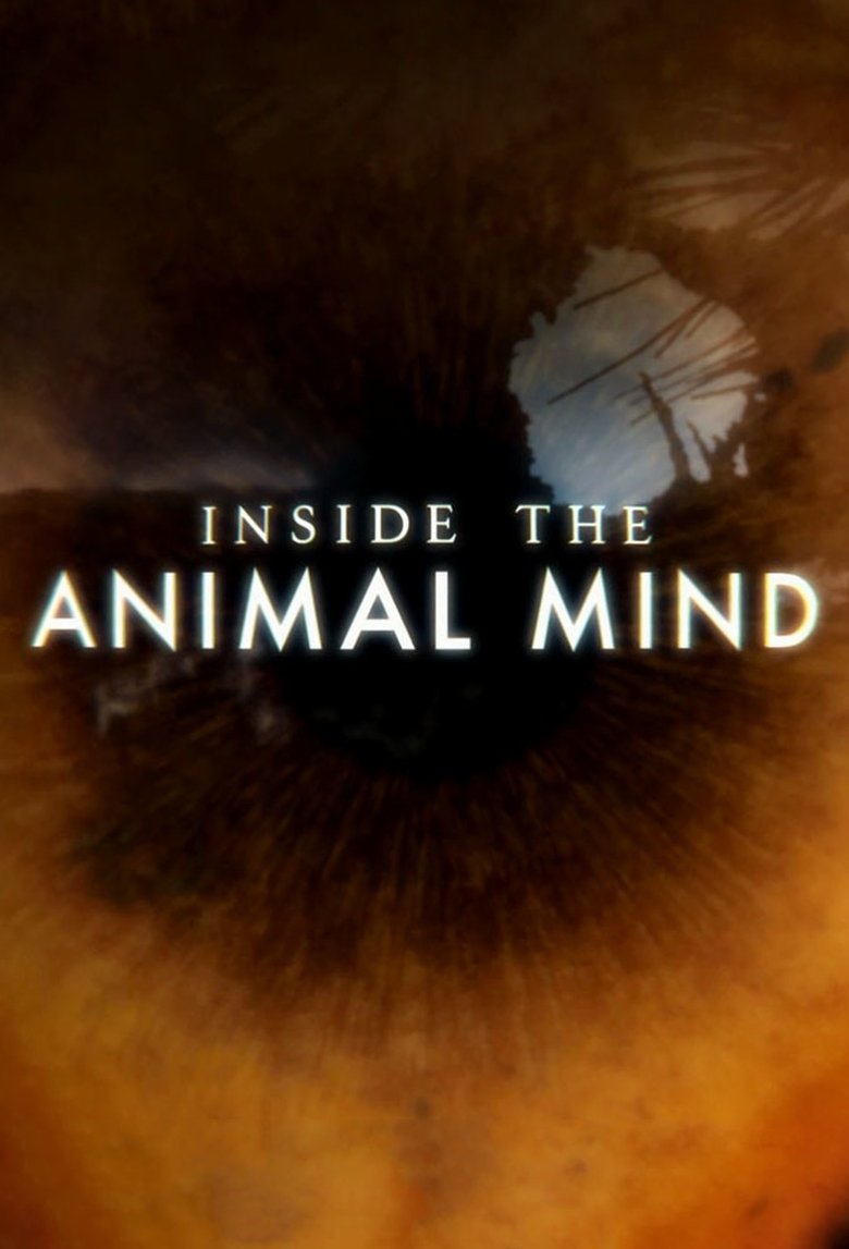 Episodes in Inside The Animal Mind - Season 1 - Season 1 Poster of Episodes in Inside The Animal Mind - Season 1 - Season 1