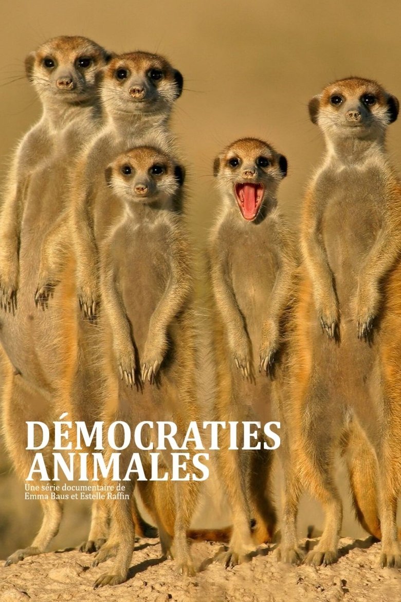 Démocraties animales Poster of Démocraties animales