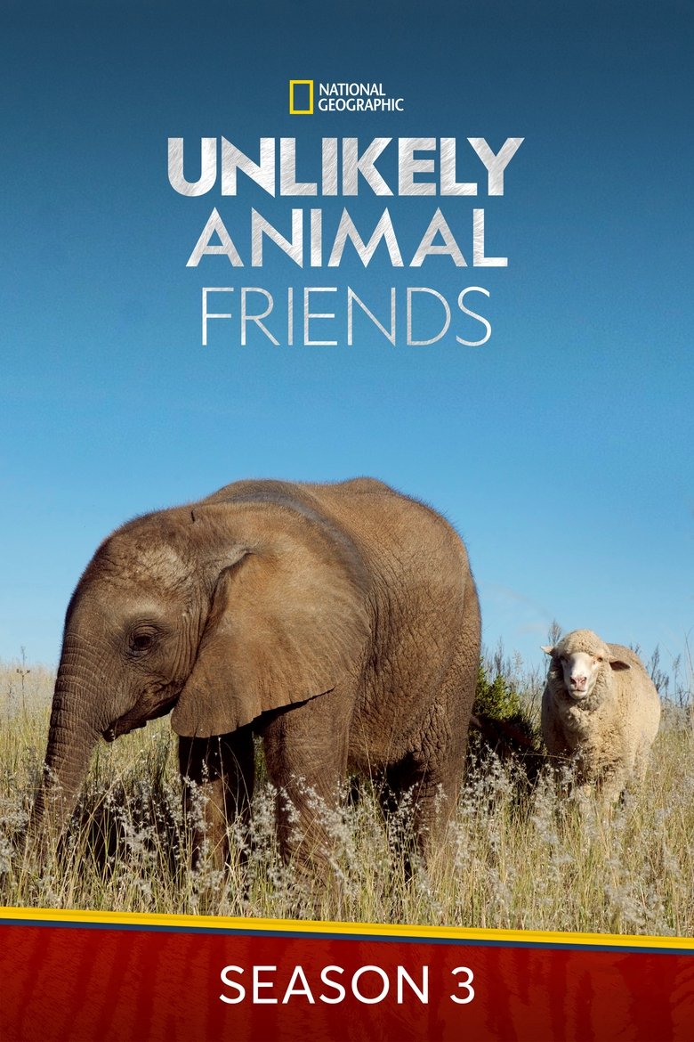 Episodes in Unlikely Animal Friends - Season 3 - Season 3 Poster of Episodes in Unlikely Animal Friends - Season 3 - Season 3