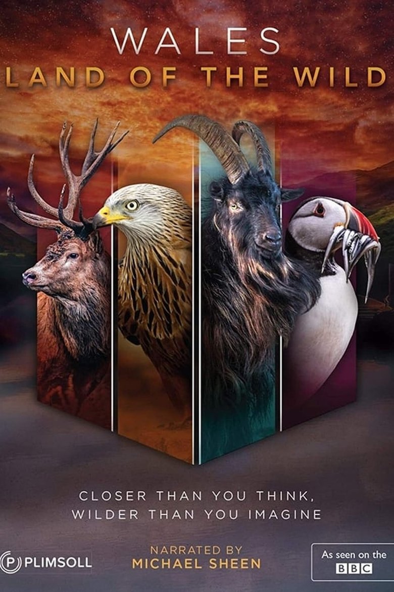 Cast and Crew in Wales Land Of The Wild - The Gathering Storm (Season 1 - Episode 4) - The Gathering Storm Poster of Cast and Crew in Wales Land Of The Wild - The Gathering Storm (Season 1 - Episode 4) - The Gathering Storm
