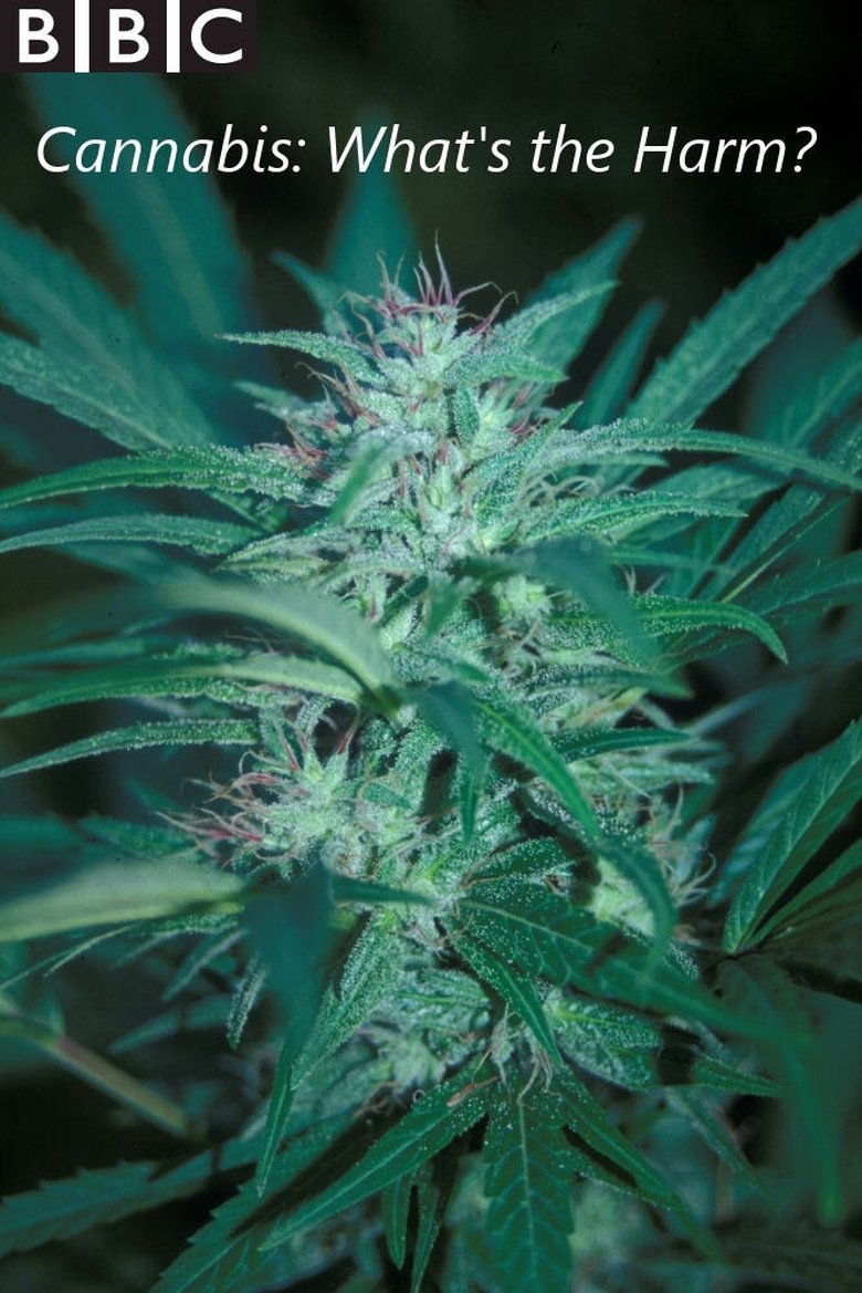 Cannabis: What's the Harm? Poster of Cannabis: What's the Harm?