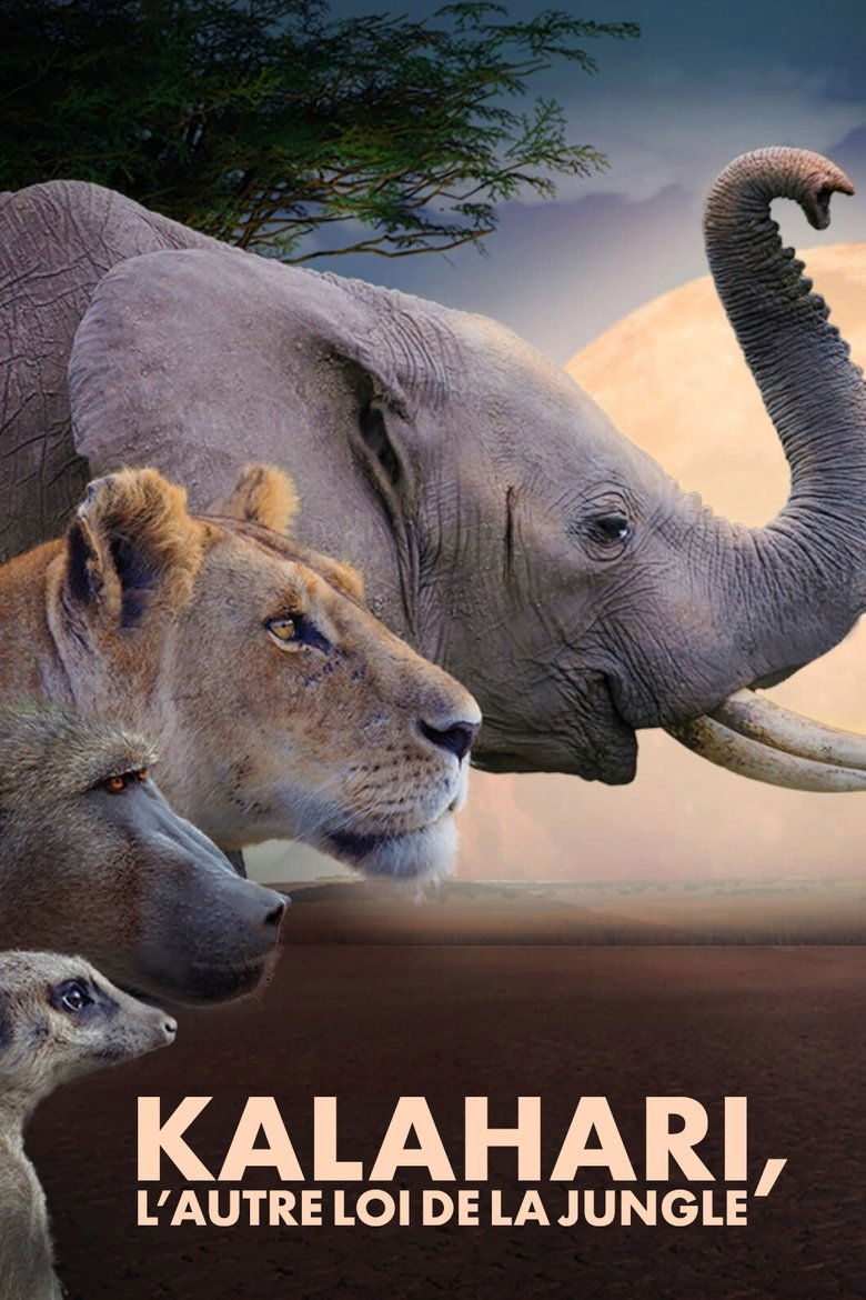 Episodes in Kalahari Land Of Secret Alliances - Season 1 - Season 1 Poster of Episodes in Kalahari Land Of Secret Alliances - Season 1 - Season 1