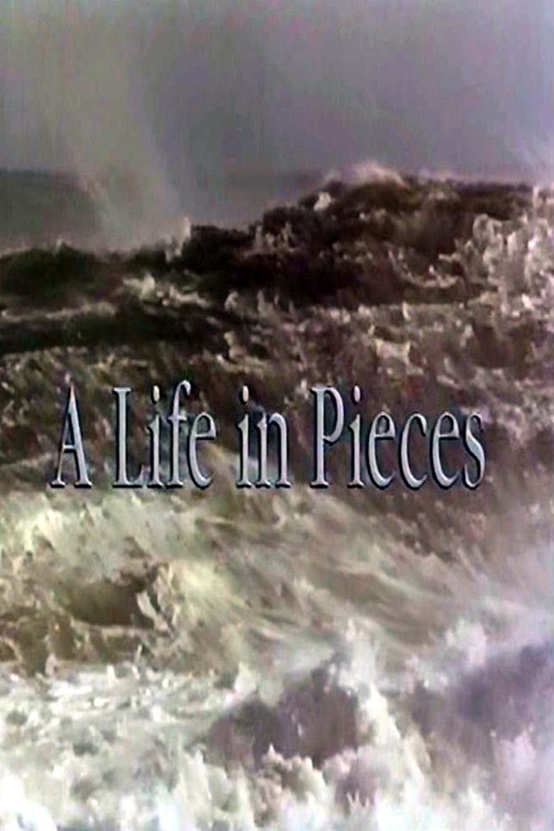 A Life In Pieces Poster of A Life In Pieces