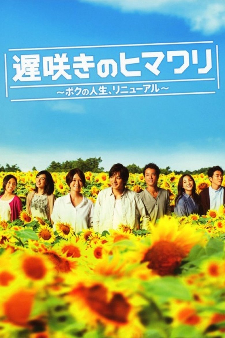 Late Blooming Sunflower My Life Renewed Poster of Late Blooming Sunflower My Life Renewed
