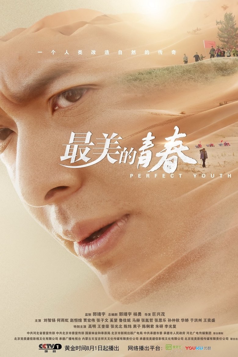 Perfect Youth Poster of Perfect Youth