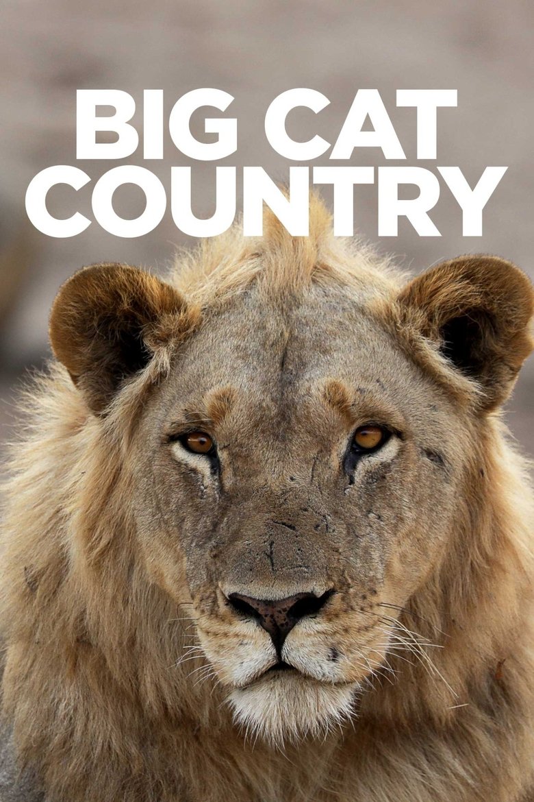 Big Cat Country Poster of Big Cat Country
