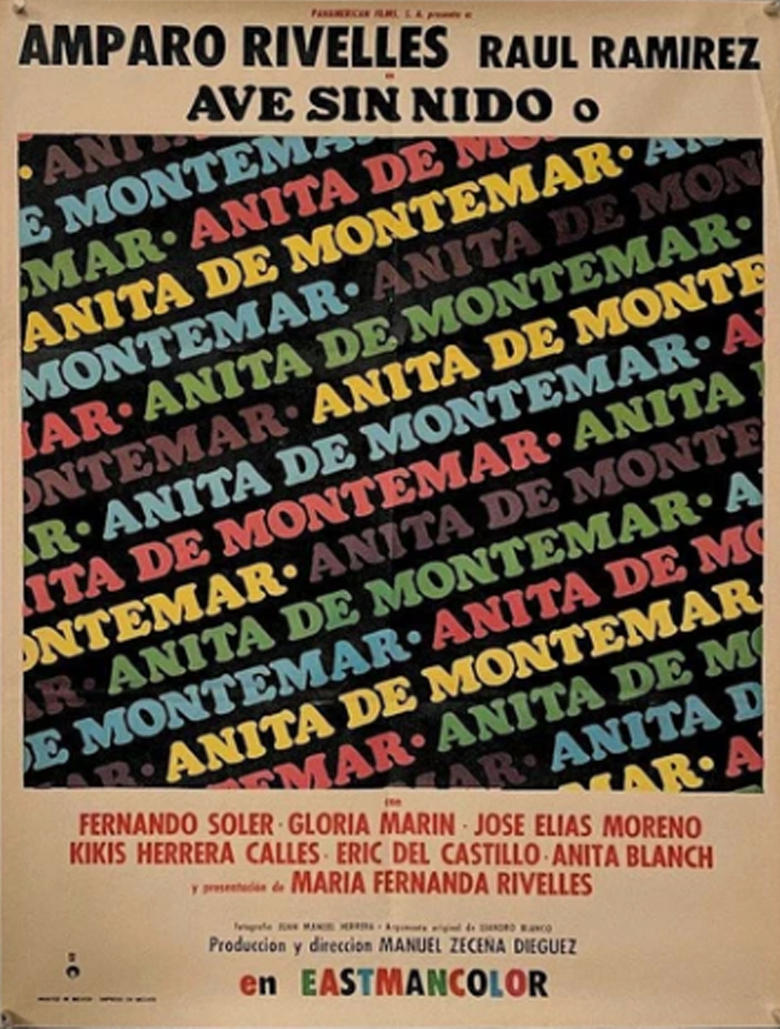 Ave sin nido Poster of Ave sin nido