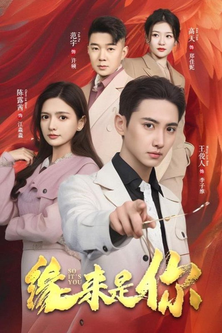 So It's You Poster of So It's You
