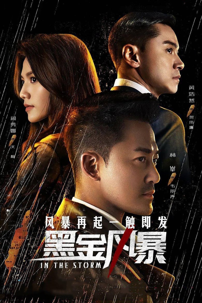 In the Storm Poster of In the Storm