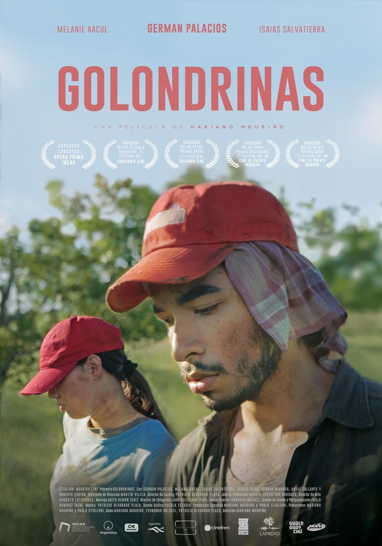 Golondrinas Poster of Golondrinas