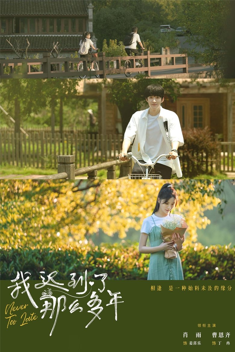 Never Too Late Poster of Never Too Late