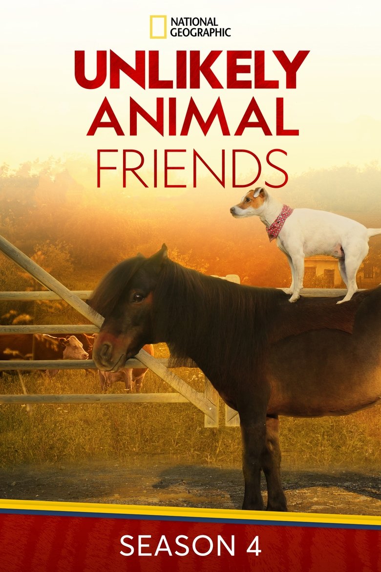 Cast and Crew in Unlikely Animal Friends - Season 4 - Episode 9 - Can't Stop the Healing Poster of Cast and Crew in Unlikely Animal Friends - Season 4 - Episode 9 - Can't Stop the Healing