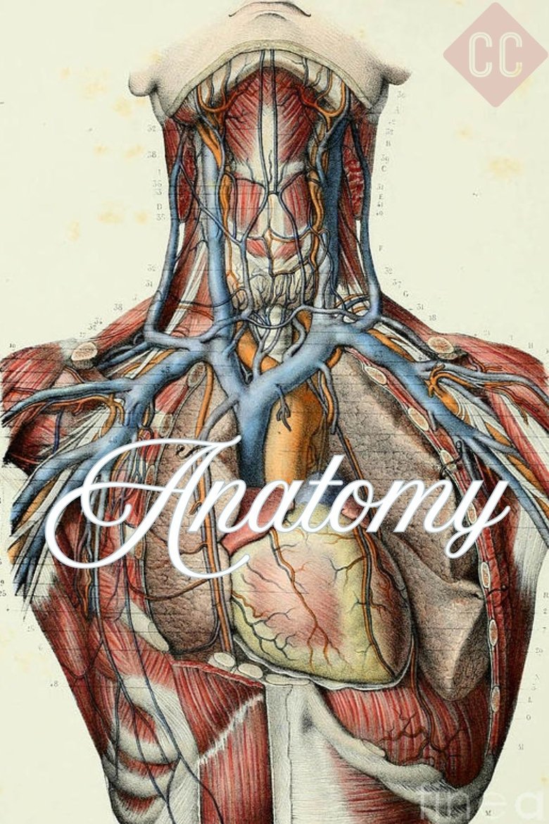 Episodes in Crash Course Anatomy & Physiology - Season 1 - Season 1 Poster of Episodes in Crash Course Anatomy & Physiology - Season 1 - Season 1