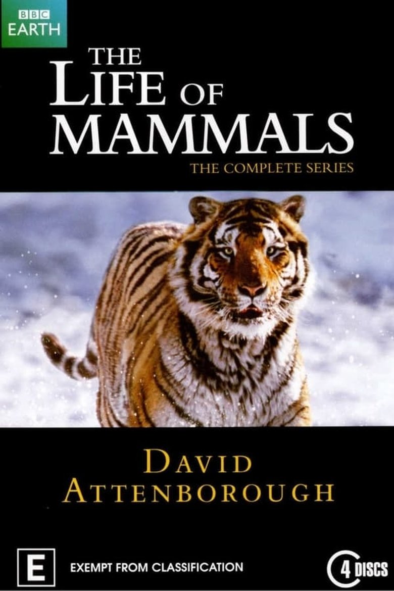 Episodes in The Life Of Mammals - Season 1 - Season 1 Poster of Episodes in The Life Of Mammals - Season 1 - Season 1