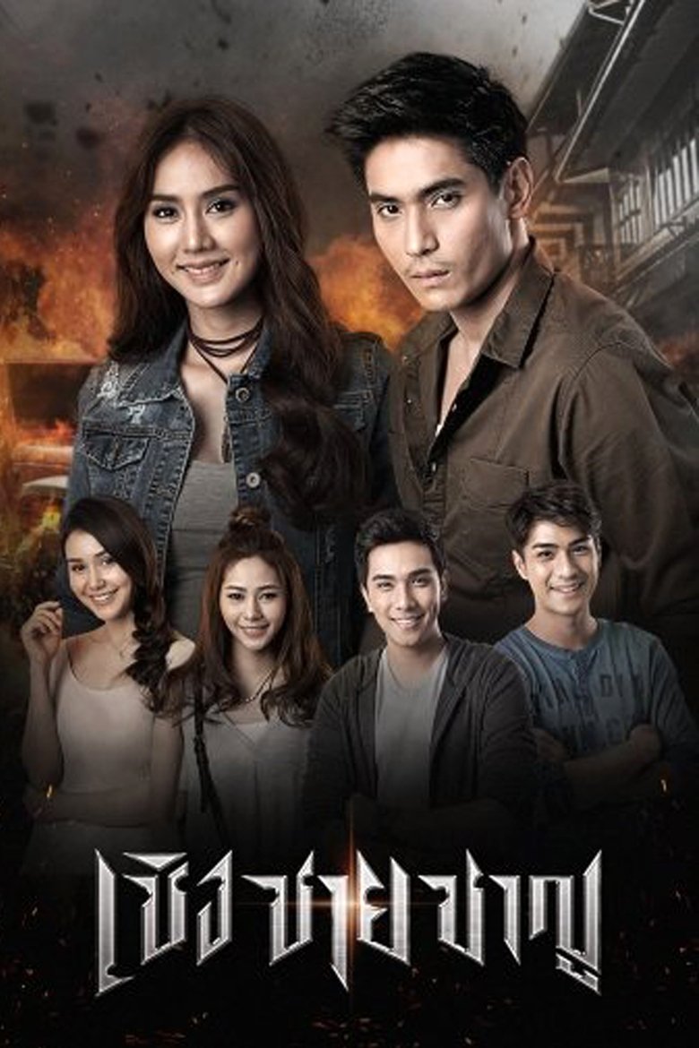 Fighter Poster of Fighter