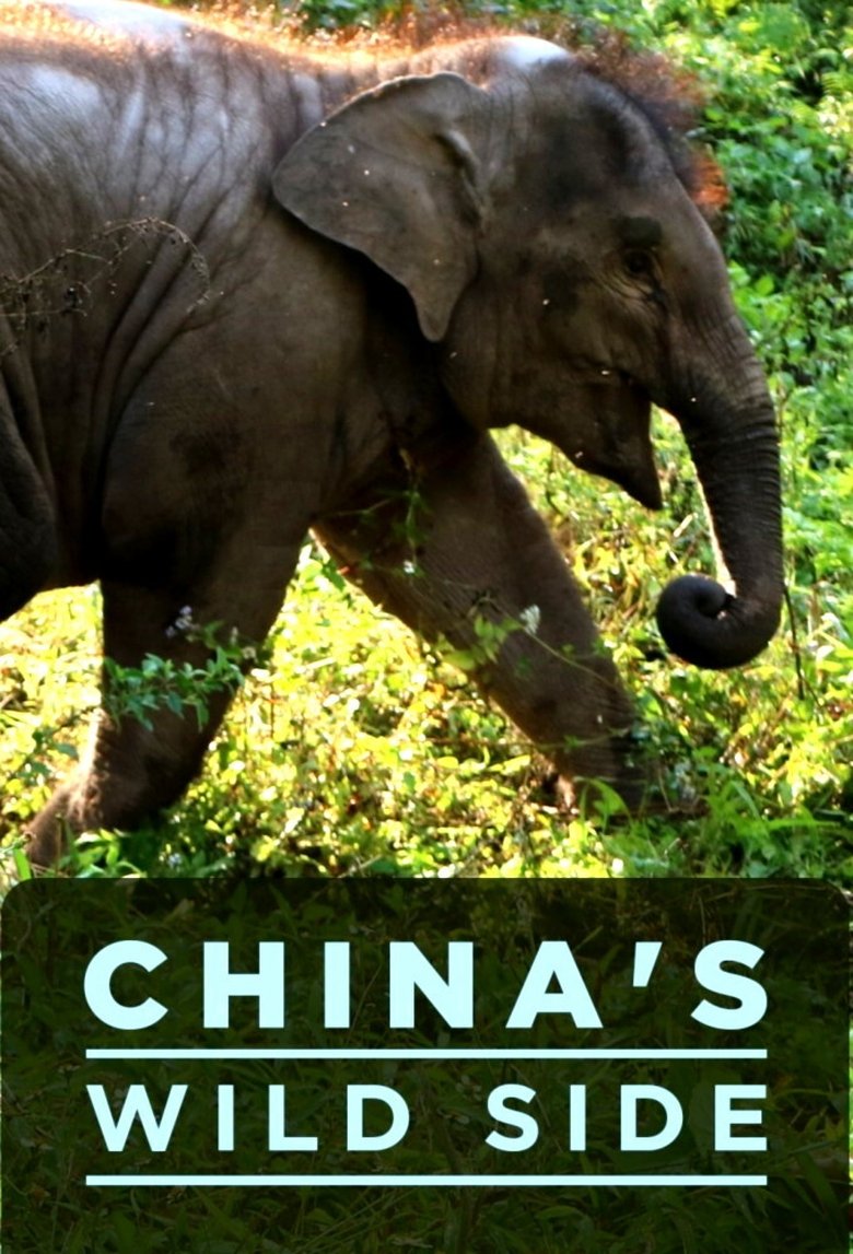 China's Wild Side Poster of China's Wild Side