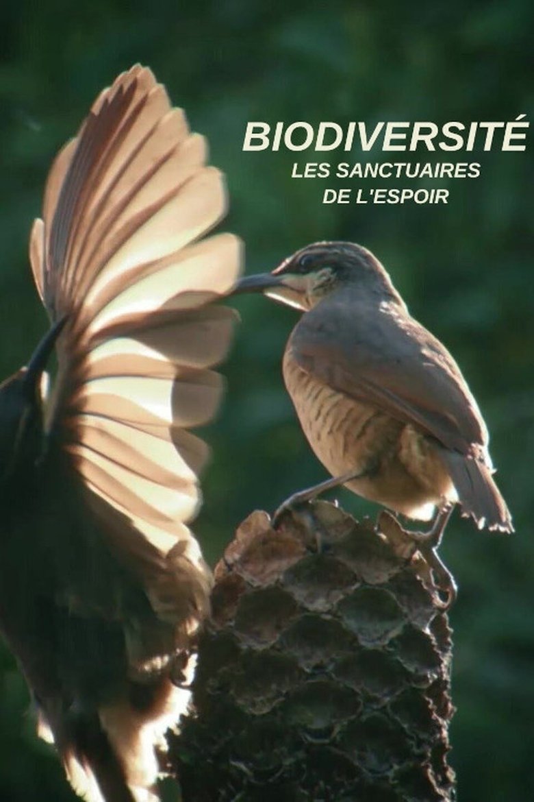 Biodiversité : les sanctuaires de l'espoir Poster of Biodiversité : les sanctuaires de l'espoir