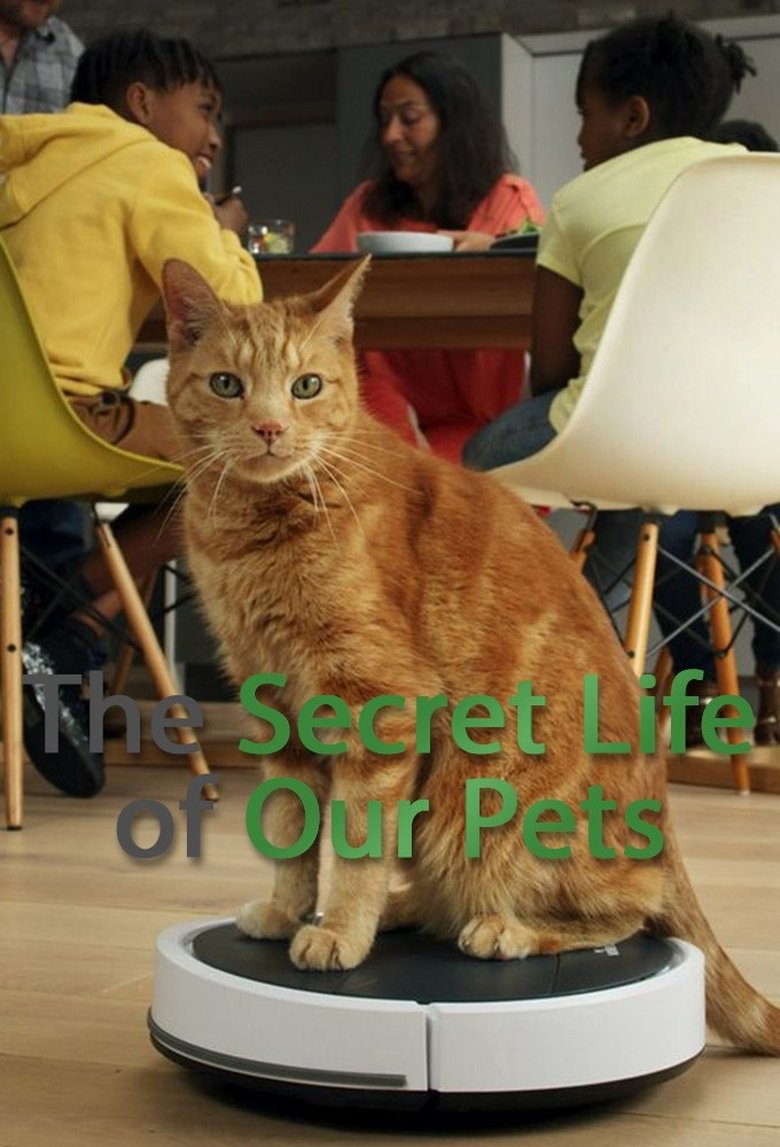 Episodes in The Secret Life Of Our Pets - Season 1 - Season 1 Poster of Episodes in The Secret Life Of Our Pets - Season 1 - Season 1